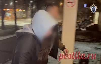 Мать найденного расчлененным в Москве ребенка призналась в его убийстве. Она не смогла пояснить мотив