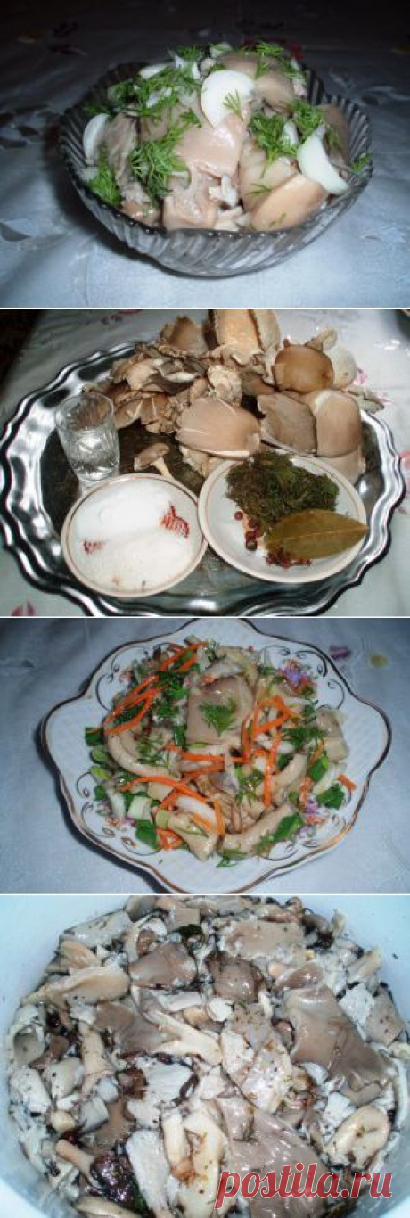 Грибы вешенка маринованные. | Домашняя еда