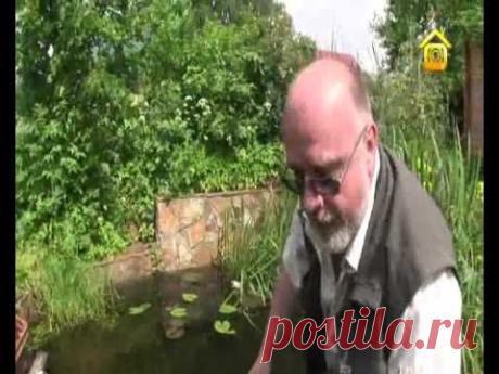 Самые интересные и полезные материалы об организации водоема / водоемы / 7dach.ru