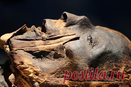 Ученые воссоздали лица древнеегипетских мумий. Лица трех мужчин из Древнего Египта удалось воссоздать благодаря образцам ДНК, извлеченным из их мумий. Это первый в истории случай успешной реконструкции внешности по столь древнему генетическому материалу. Они умерли в возрасте 25 лет в период между 1380 годом до нашей эры и 425 годом нашей эры.