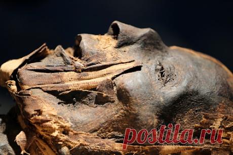 Ученые воссоздали лица древнеегипетских мумий. Лица трех мужчин из Древнего Египта удалось воссоздать благодаря образцам ДНК, извлеченным из их мумий. Это первый в истории случай успешной реконструкции внешности по столь древнему генетическому материалу. Они умерли в возрасте 25 лет в период между 1380 годом до нашей эры и 425 годом нашей эры.