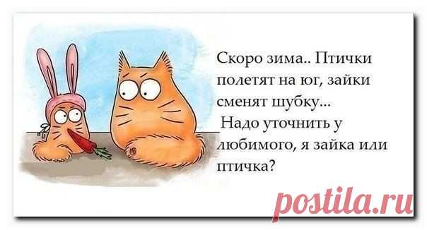 no comments