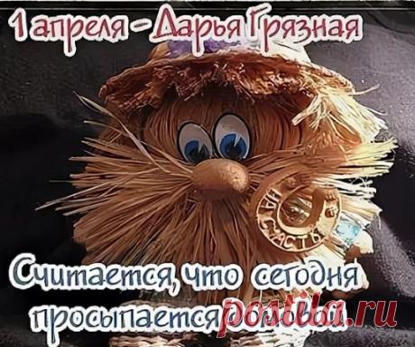 Поздравляю с праздником Дарьи Грязной! Пусть святая Дарья бережет от обмана и злых людей, а дом наполняется благополучием, счастьем и уютом! Открытки на Дарья Грязная!