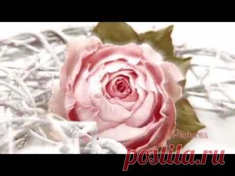 Мастер класс роза из фоамирана Превью