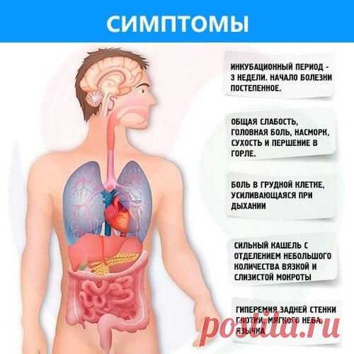 5 симптомов, о которых должен знать каждый взрослый. Воспаление лёгких / Будьте здоровы