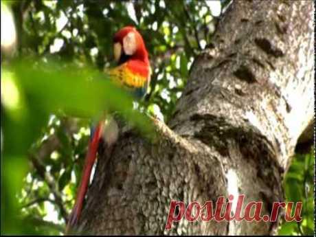 COSTA RICA [promo oficial ICT 2010]