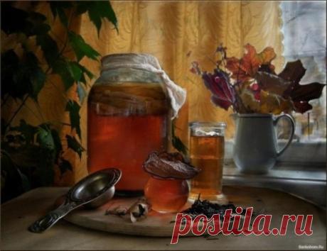 Секреты чайного гриба