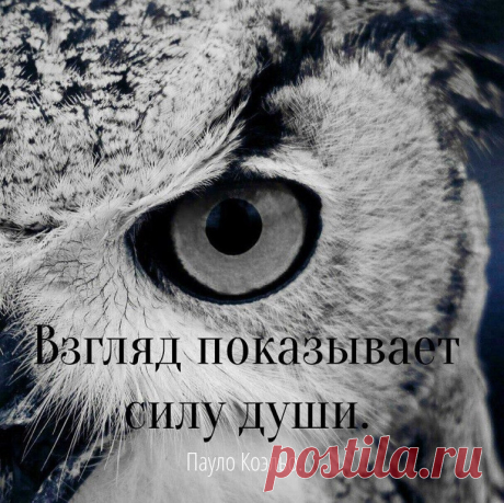 (16) Одноклассники