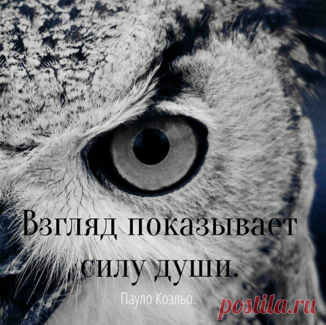 (16) Одноклассники