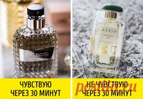 Как понять, что духи вам не подходят / Все для женщины