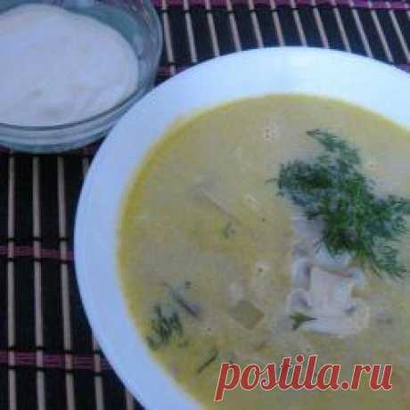 Суп из подосиновиков