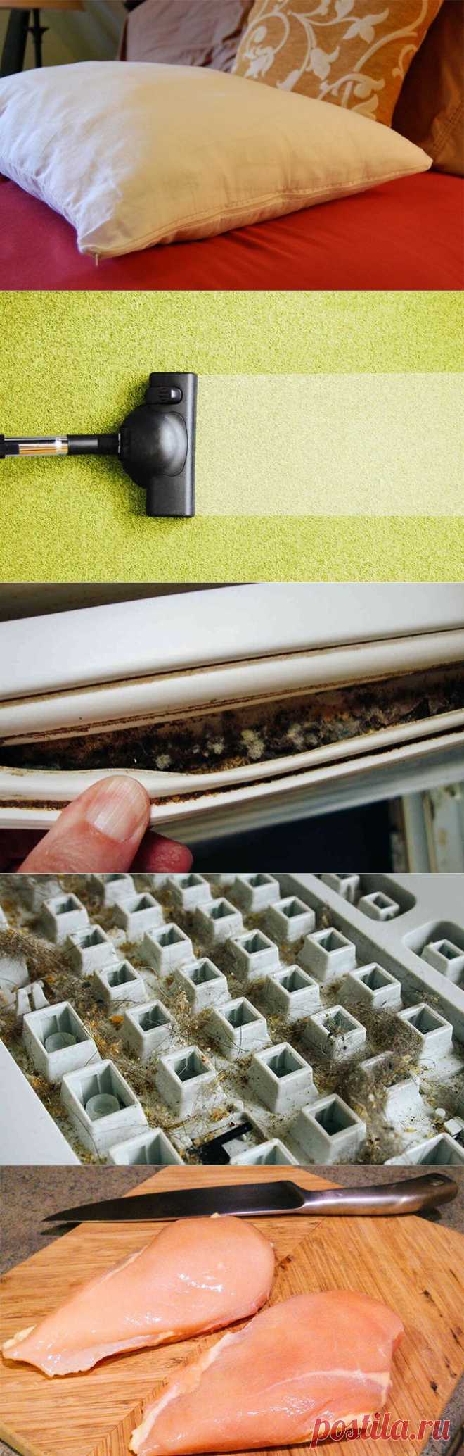 Самые грязные места вашего дома / Все для женщины