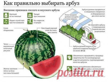 Пригодится в конце августа...