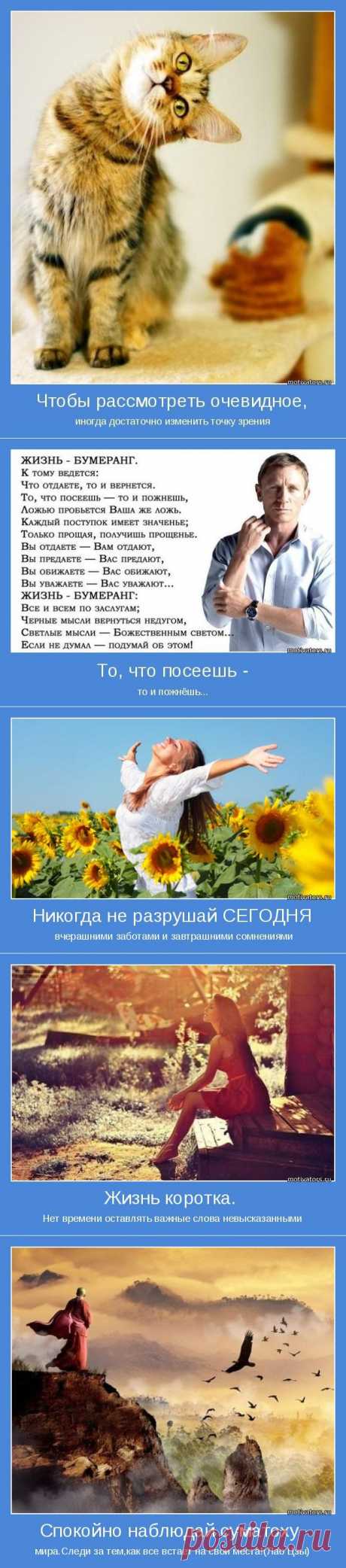 Не осень в нашей грусти виновата, а ...! Мотиваторы;)