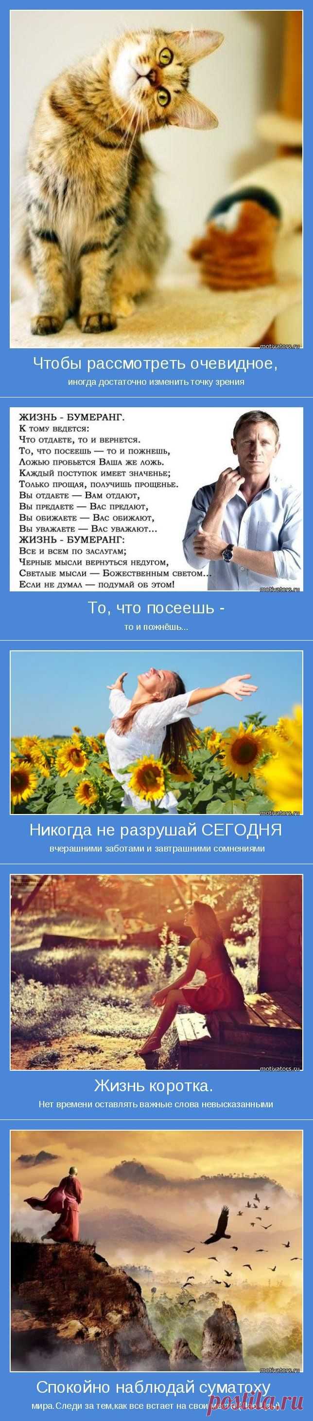 Не осень в нашей грусти виновата, а ...! Мотиваторы;)