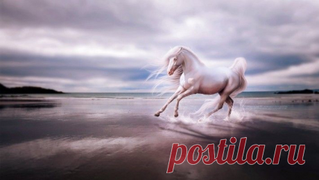Красивые художественные работы