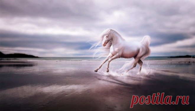 Красивые художественные работы