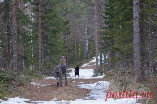 "Шоо, опять?!" / Прикольные и интересные фото 10