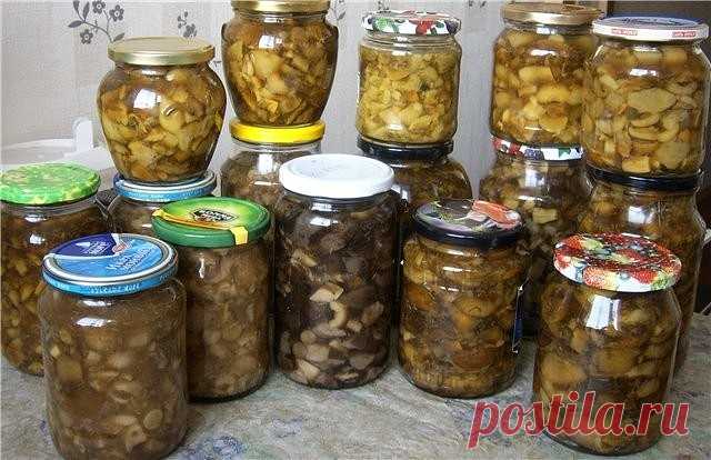 10 заготовок из ГРИБОВ на зиму
 
1. Засолка грибов - холодный способ.
 
грибы (рыжики, черные и белые грузди, волнушки, сыроежки) - 1 кг
соль - 100 г
смородина - 10–12 листьев
вишня - 5–6 листиков
хрен - 2 листа
укроп - 2 зонтика
лавровый лист - 2–3 шт.
перец горошком - по вкусу
чеснок - по вкусу
 
Грузди, волнушки или сыроежки вымыть и залить холодной водой на 5–6 ч. (Рыжики не вымачивают, а только промывают). На дно деревянной или керамической посуды насыпать слой соли, ...