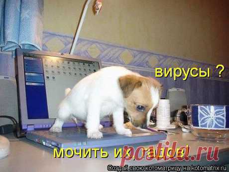 НОСТАЛЬГИЯ И ЮМОР
Наталья Сапич