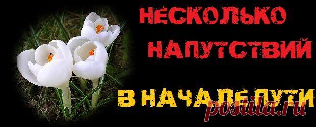 Несколько напутствий в начале пути | STEELppl