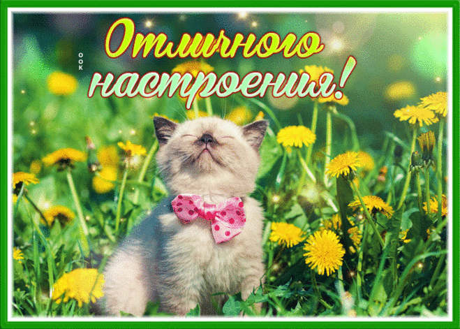 Открытка отличного настроения с котенком и одуванчиками