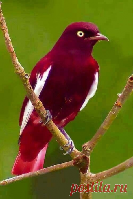 Природа - лучший творец!