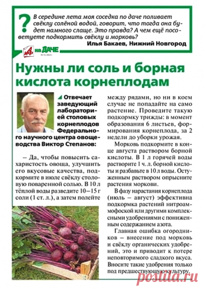 Нужны ли соль и борная кислота корнеплодам