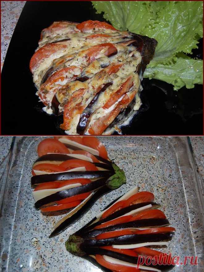 Баклажаны "Жар-птица".