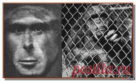 Кровавые тайны НКВД | Секретные материалы | Плюк - Блог о паранормальном и мистическом - Ку!