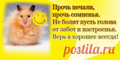 ~~~ ПОЗИТИВНАЯ КОМПАНИЯ ~~~