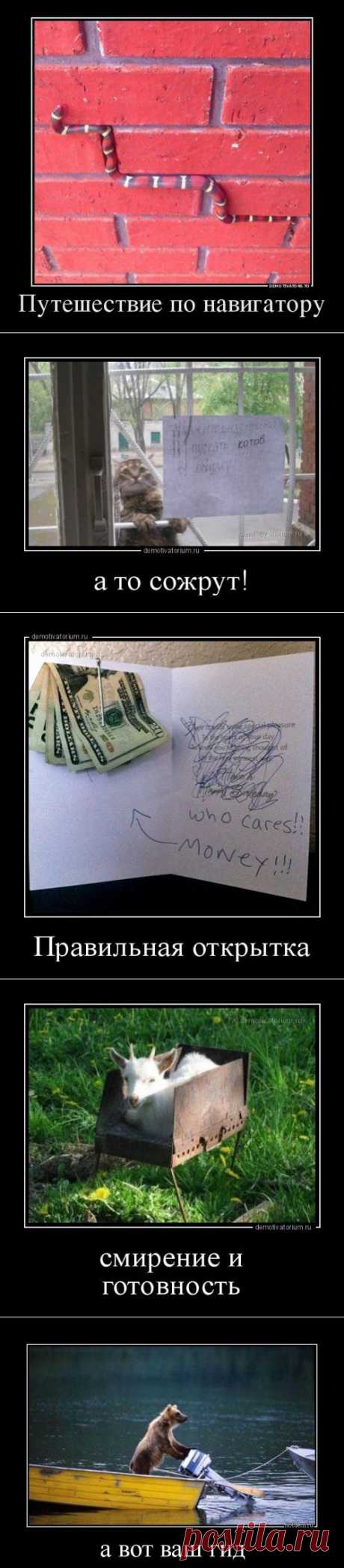 Новая порция демотиваторов (23 шт)