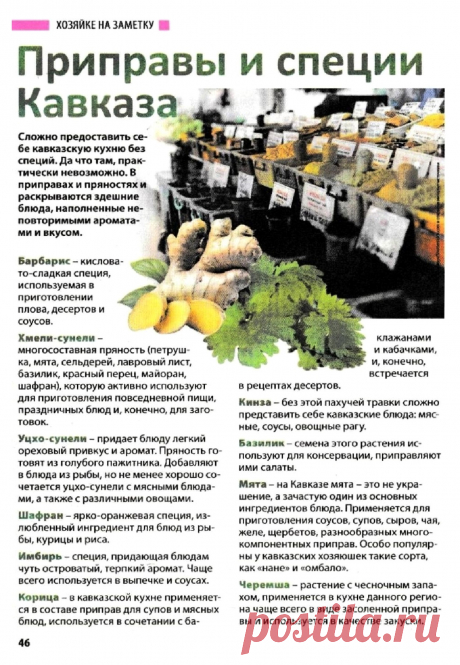 Приправы и специи Кавказа