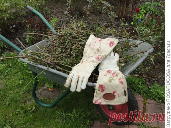 Когда и чем подкормить розы — весной, летом и осенью