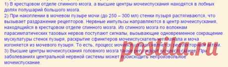 Чем отличается скелет головы человека от скелета головы человекообразных обезьян? Укажите не менее 4-х отличий. — МегаЛекции