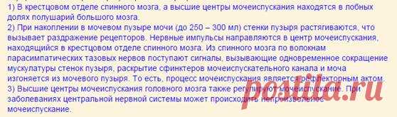 Чем отличается скелет головы человека от скелета головы человекообразных обезьян? Укажите не менее 4-х отличий. — МегаЛекции