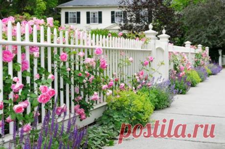 Как украсить забор на даче Все строения когда-нибудь ветшают и приходят в негодность. И забор на нашей даче — не исключение. Совсем недавно он ещё радовал свежей весёленькой краской, но солнце, воздух и вода сделали […]