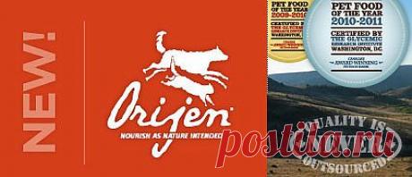 Zoo-menu.ru Интернет-магазин кормов премиум класса для собак и кошек, Москва - Новости - Обновления линеек Acana, Ориджен - - Отличия и преимущества новой линейки кормов Orijen
