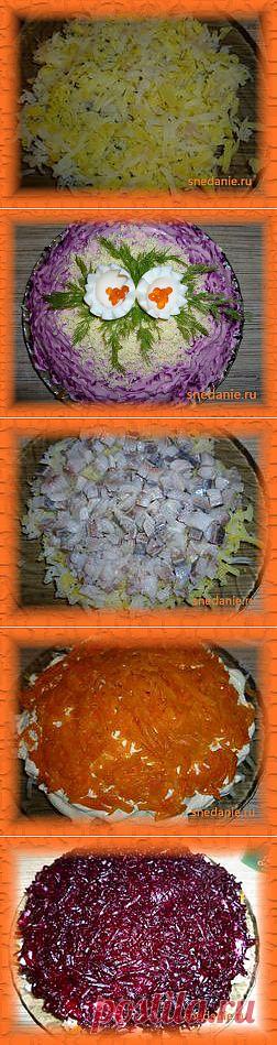 Салат Селедка под шубой, рецепт  | Снедание