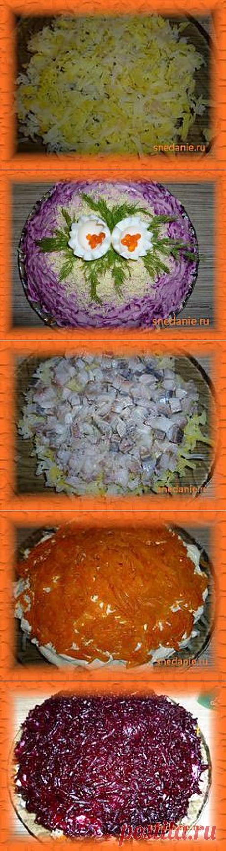 Салат Селедка под шубой, рецепт | Снедание