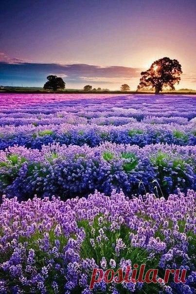 Мой Мир@Mail.Ru