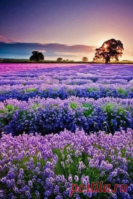 Мой Мир@Mail.Ru