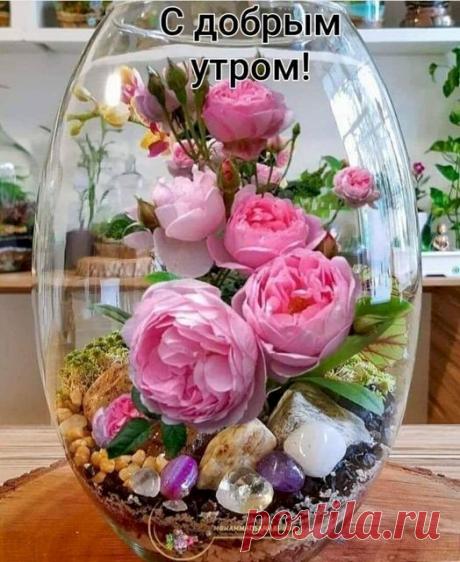 Выпуск №4208 - выпуск анекдотов сайта вокруг смеха