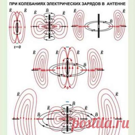 Учитель физики!