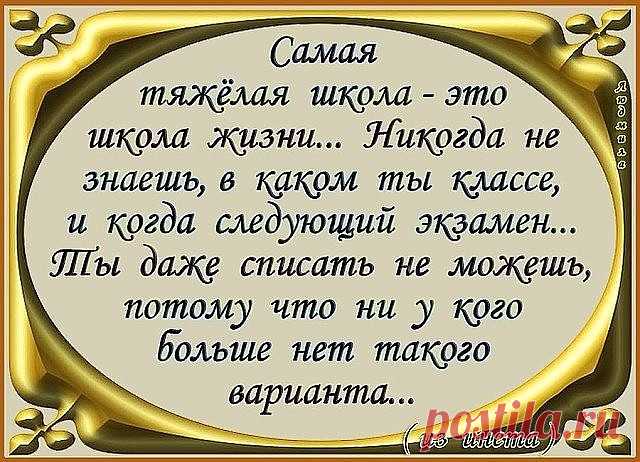 Золотые слова!!!
Лучший учитель в нашей жизни — это сама жизнь, поскольку её уроки невозможно прогулять и не усвоить!