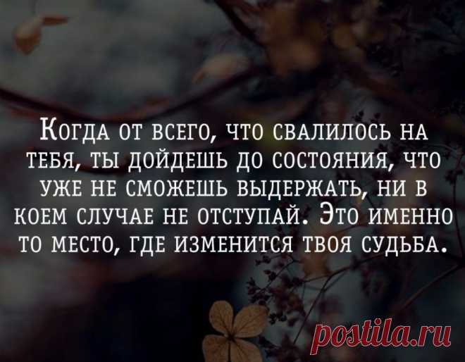 Когда от всего, что свалилось на тебя, ты дойдешь до состояния, что уже не сможешь выдержать, ни в коем случае не отступай… Это именно то место, где изменится твоя судьба | Мир позитивных новостей