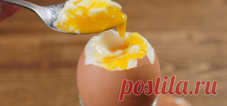 Что будет, если каждый день съедать по два яйца — Intex-press. Последние новости города Барановичи, Беларуси и Мира