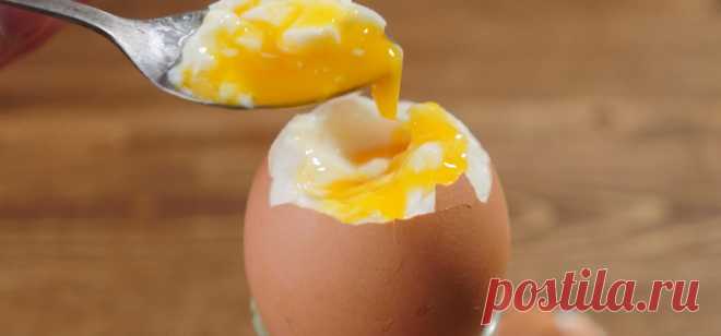 Что будет, если каждый день съедать по два яйца — Intex-press. Последние новости города Барановичи, Беларуси и Мира