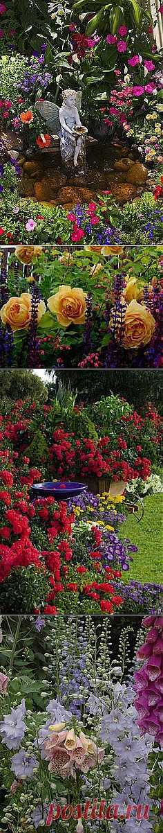 Pin by Genie on yard