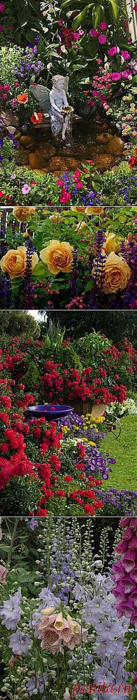 Pin by Genie on yard